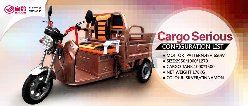 ��򱦸�綯���г�